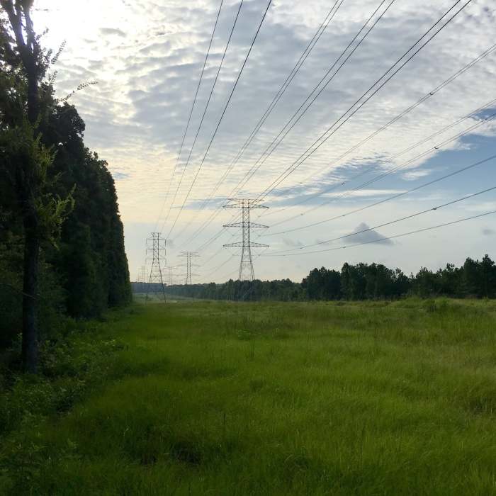 Near San Jacinto Trail