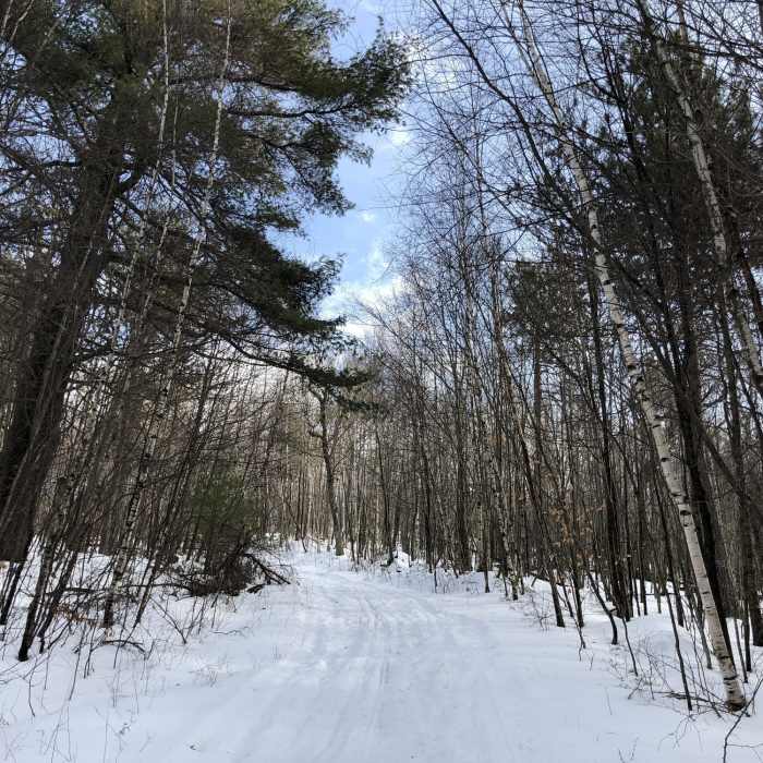 Near Cabin Trail