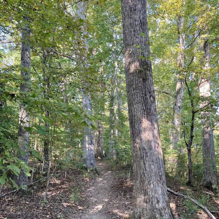 Near Enclosure Trail