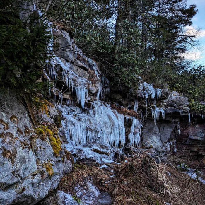 Near Blackwater Falls Boardwalk Trail