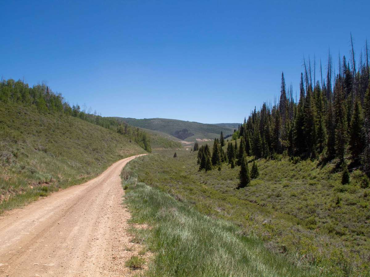 Buffalo Canyon - FS 70335 trail photo