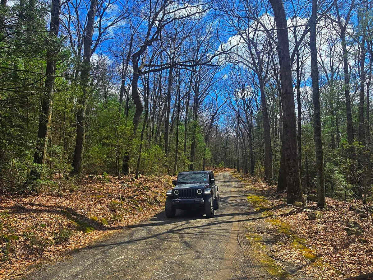 Three Springs Road photo 3