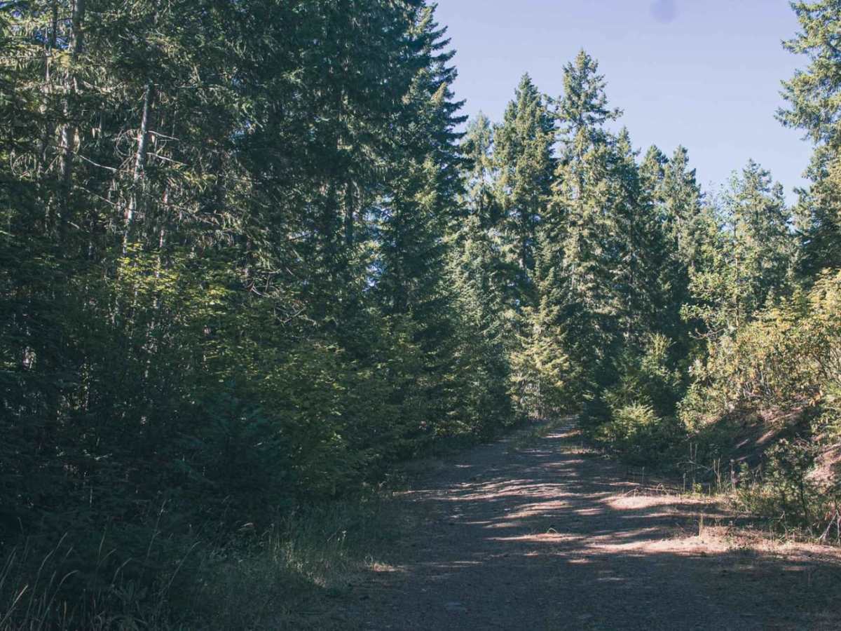 Panther Ridge photo 2