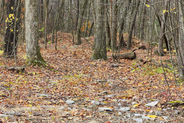 OHV 10 - Rock Run Recreation Area