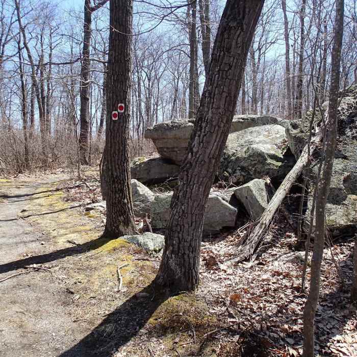 Iris Trail Near Appalachian - Iris Trail Loop