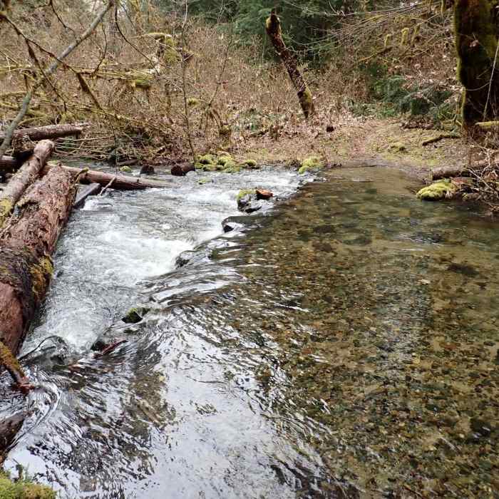 First crossing of Cow Creek (water is much lower in late summer) Near Cow Creek Trail #1424