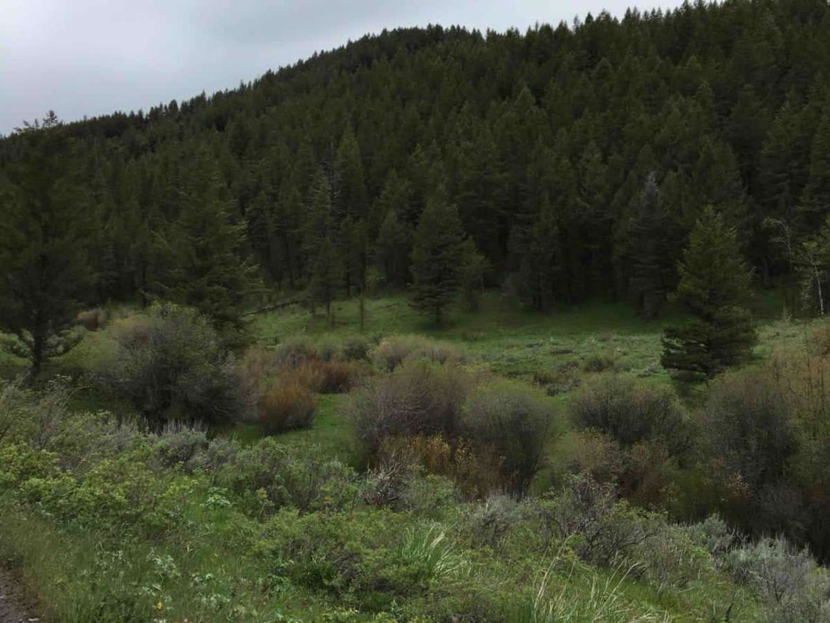 Rash Canyon photo 2