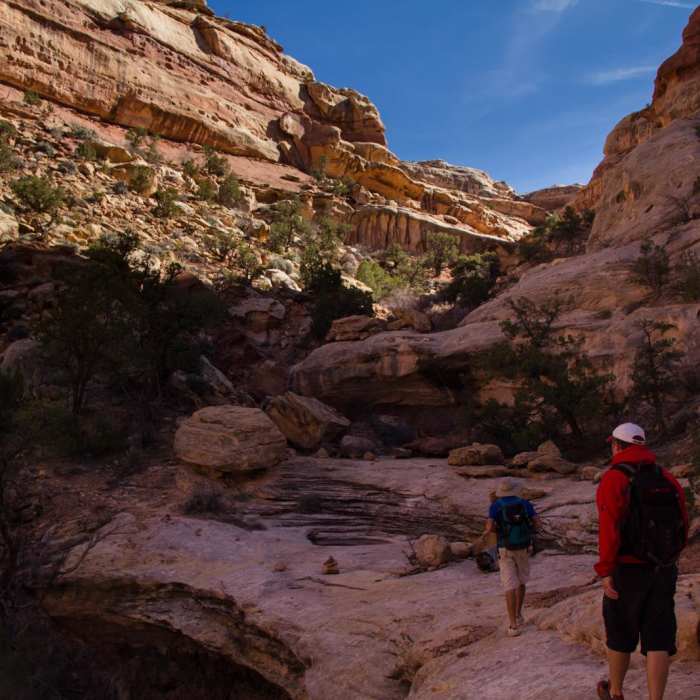 Near Pictograph Fork Loop