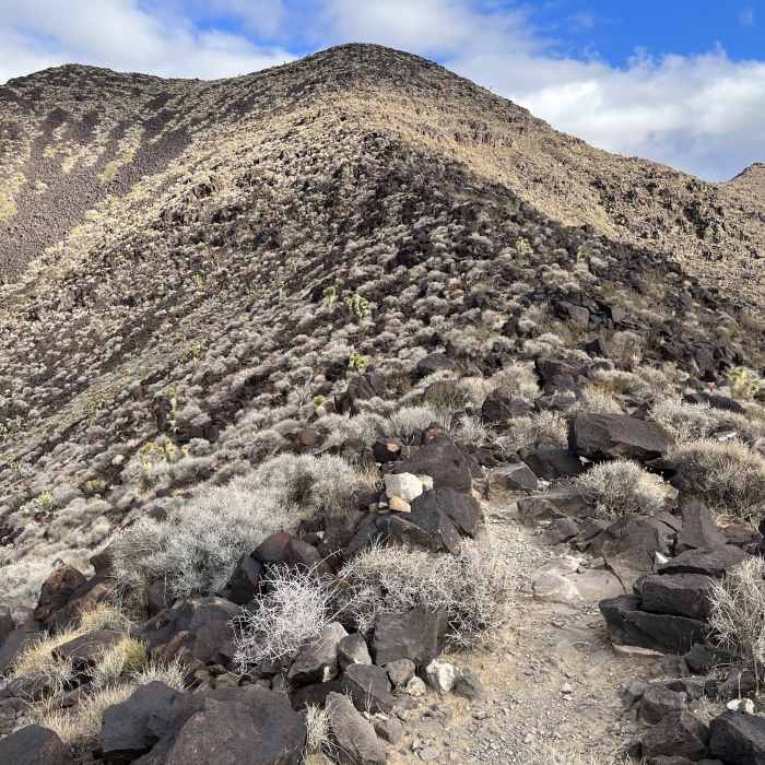 Near Black Mountain Trail #404