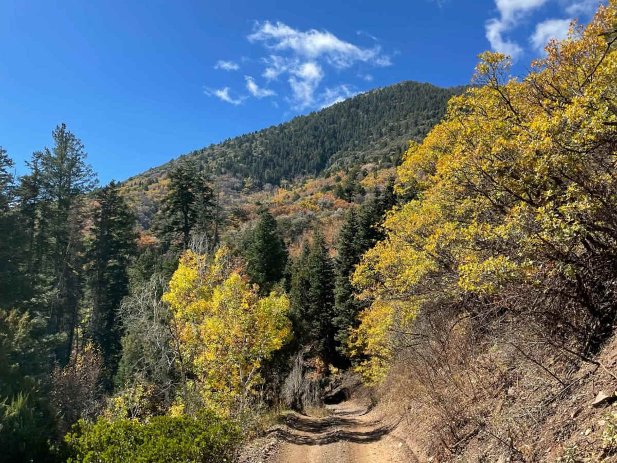Deer Creek Trail photo 6