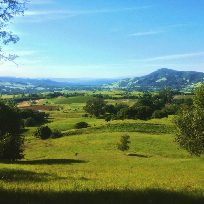 Near North Sonoma Mtn Trailhead to Sonoma Mtn Peak