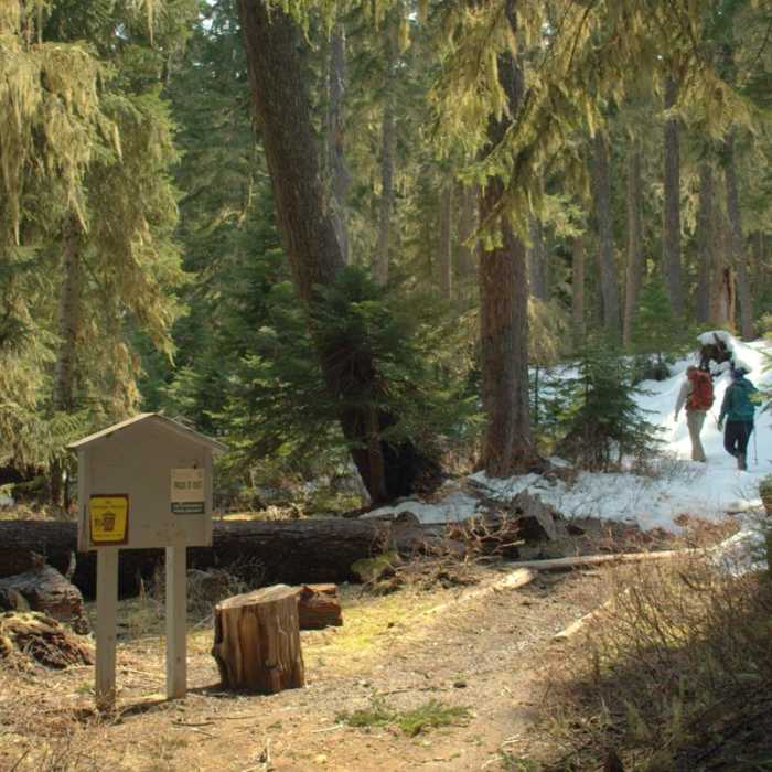 Near Indigo Lake Trail