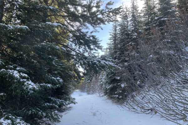 Coal Creek ATV/UTV