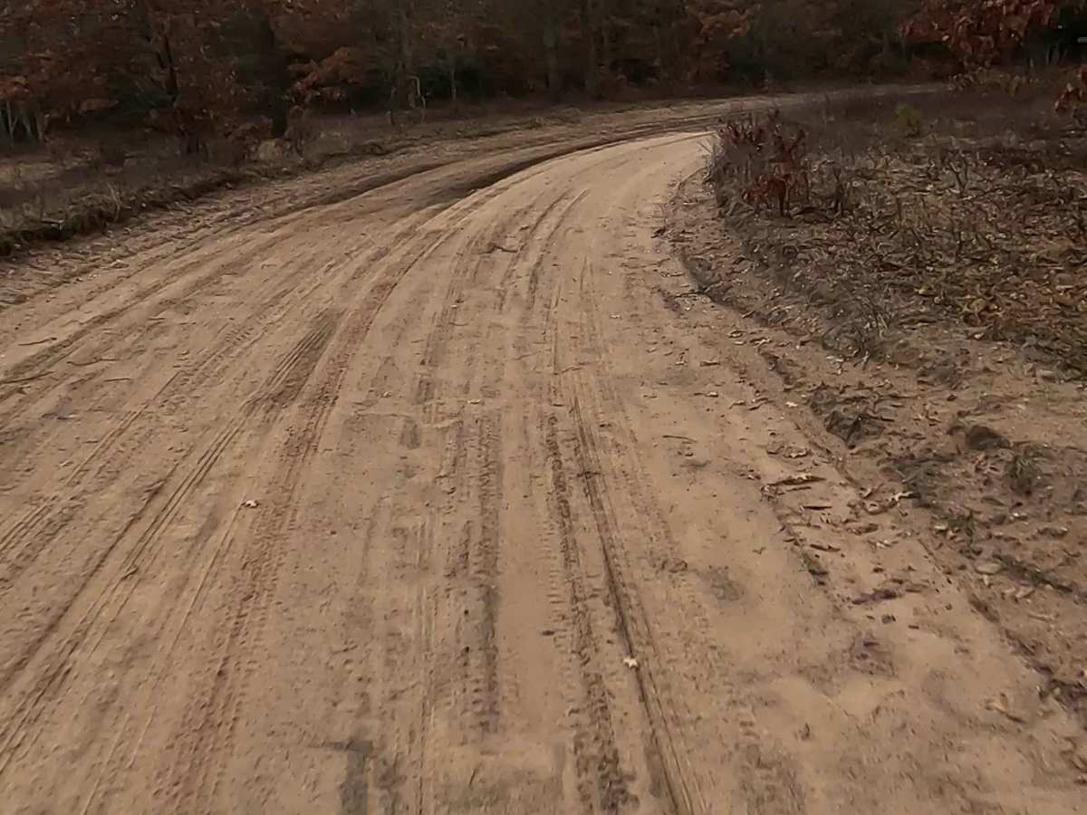 Indian Lake Road - FS 4880 photo 6