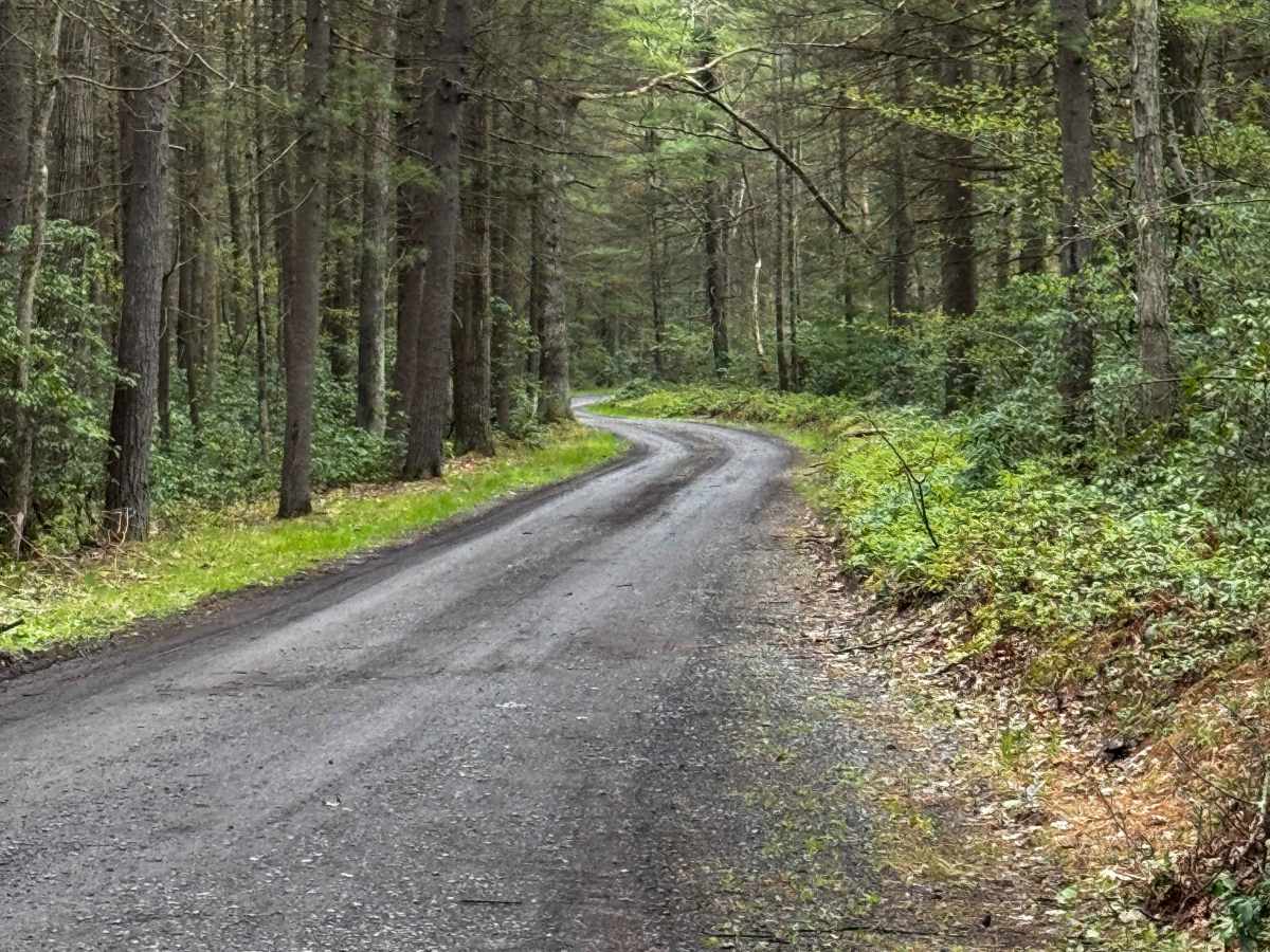 Old Mountain Road photo 3