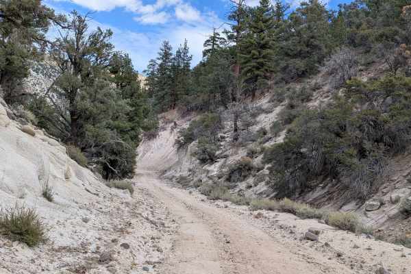Burcham Flat Road North