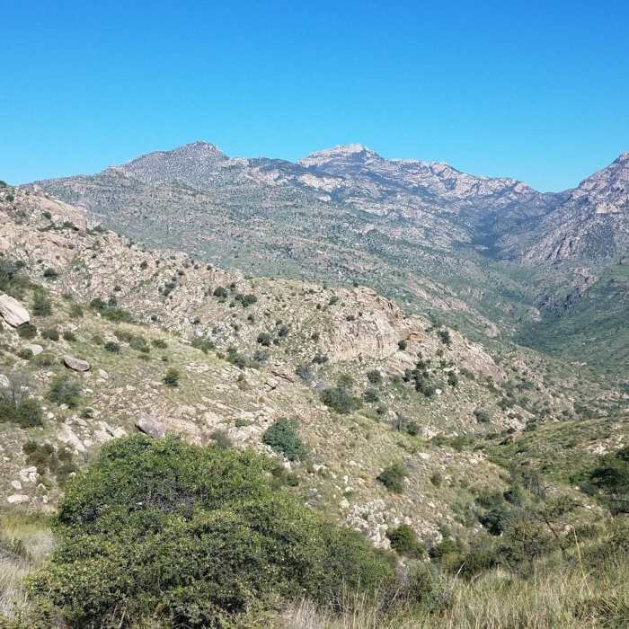 Along E Fork Trail towards Rattlesnake Pt Near AZT - Passage 11 - Santa Catalina Mountains