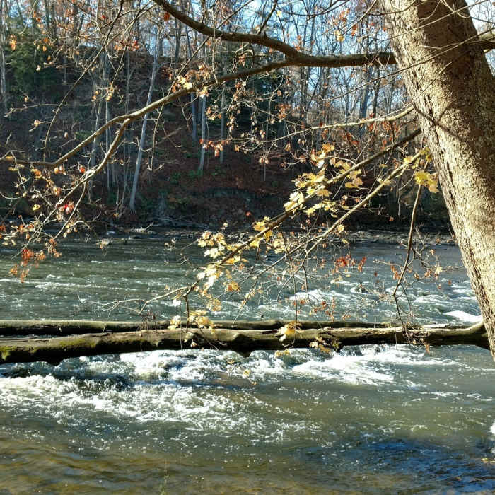 Near Ohio & Erie Canal Towpath Trail