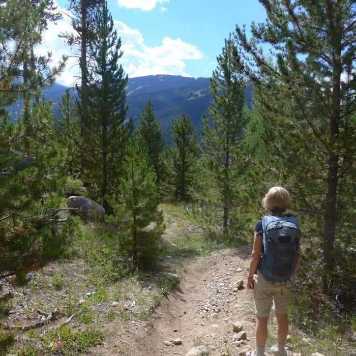 Near Frey Gulch Road (FSR #66)