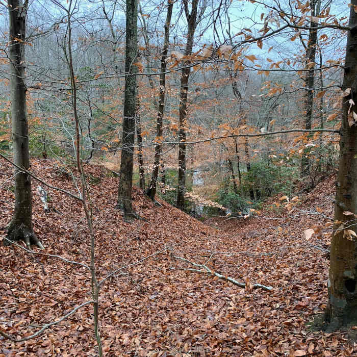 View of the Galloway Creek in winter from the Beaver-Rock Trail. Near Green Loop
