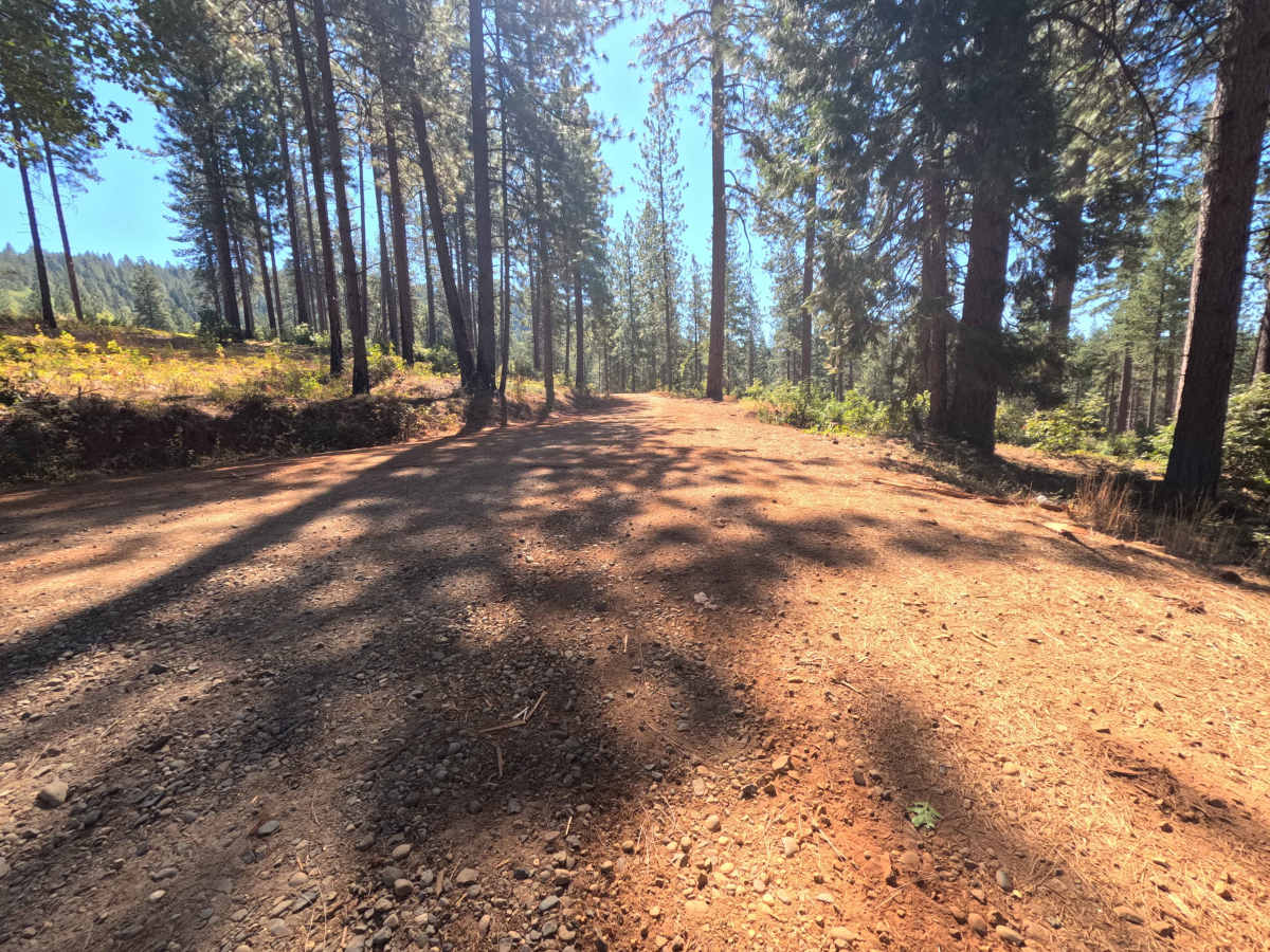 Plantation - FS 19N16  trail photo