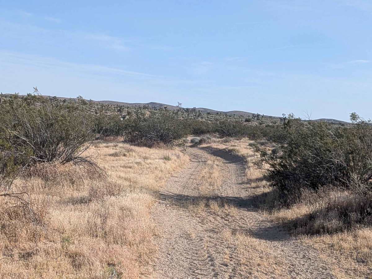 BLM EP458 photo 4