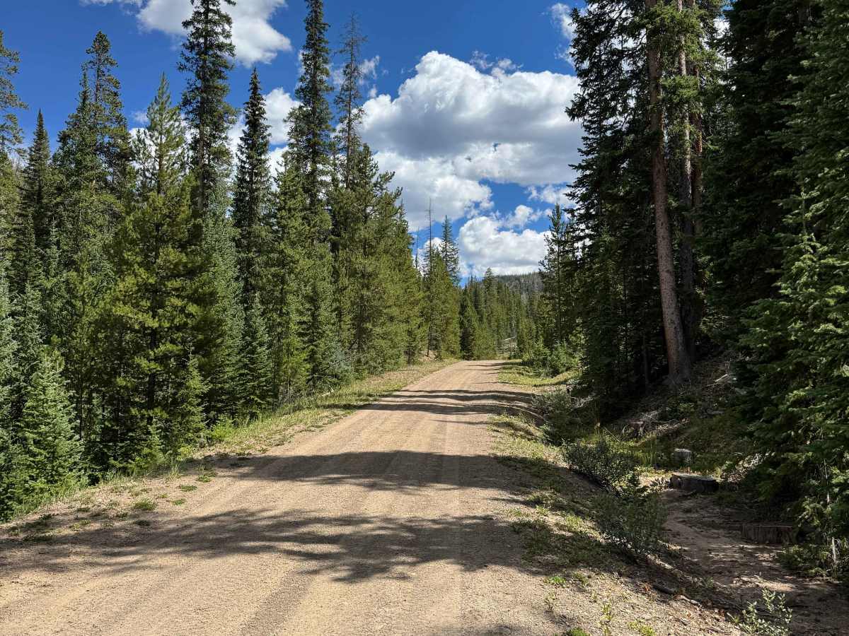 East Fork Road photo 3