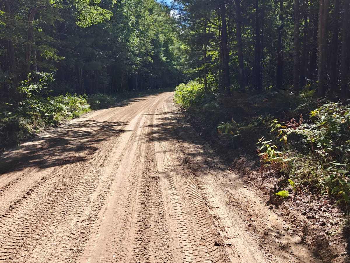 Parrent Drive photo 3