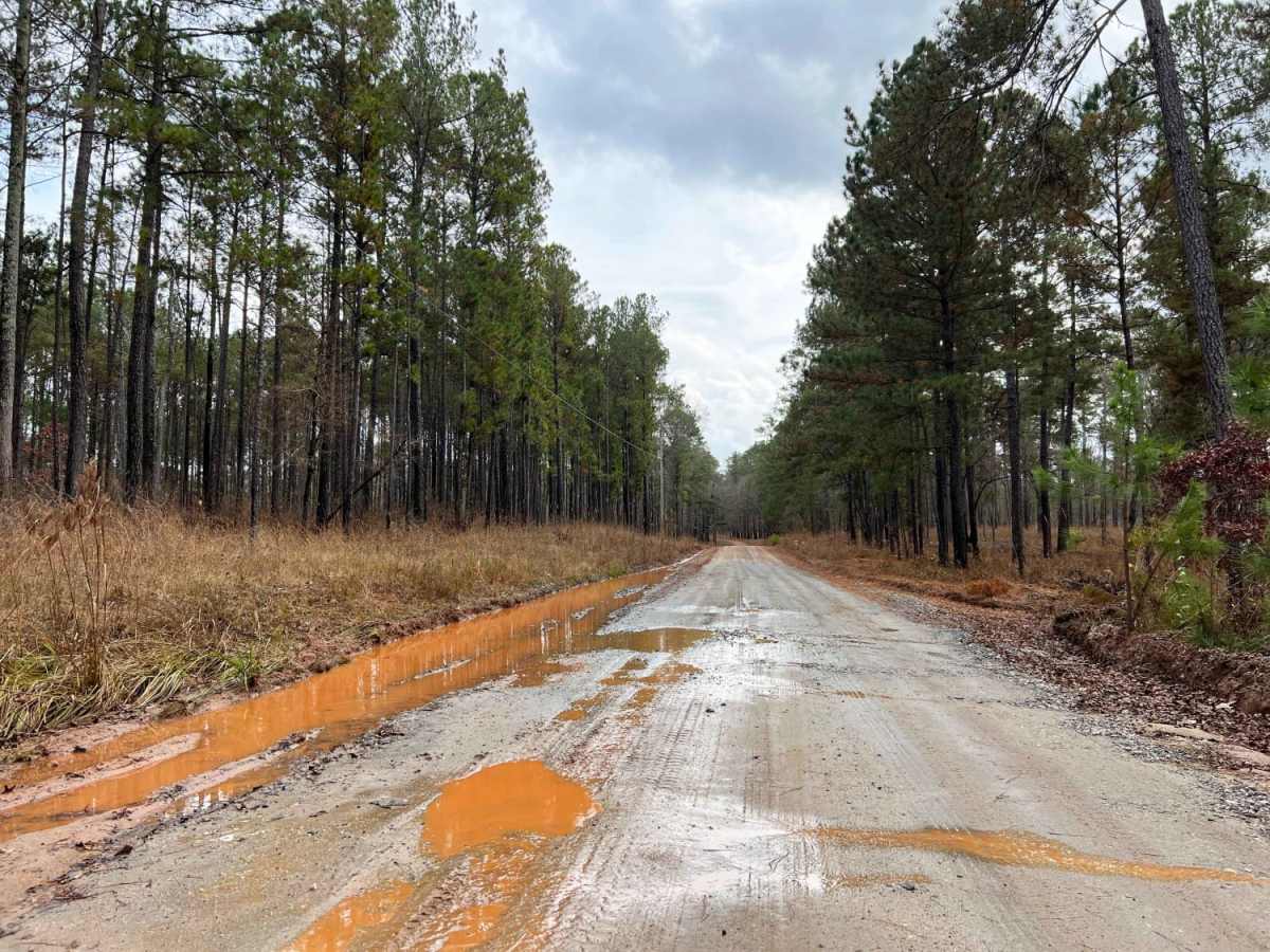 Oconee Starr photo 5