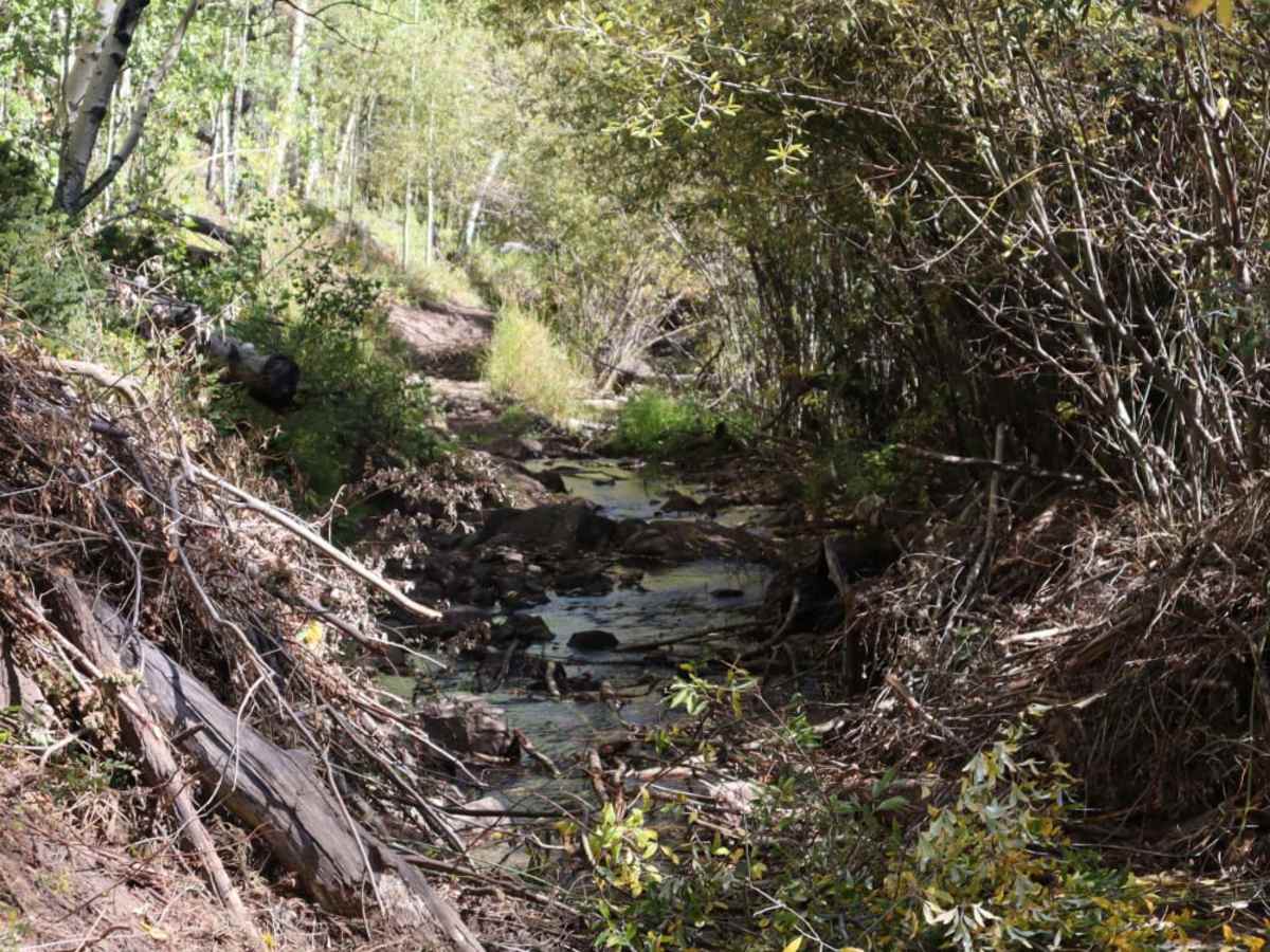 Bennett Creek 2 photo 5