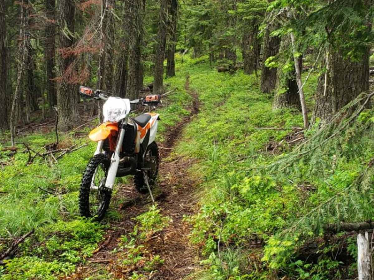 Olson Peak Singletrack photo 4