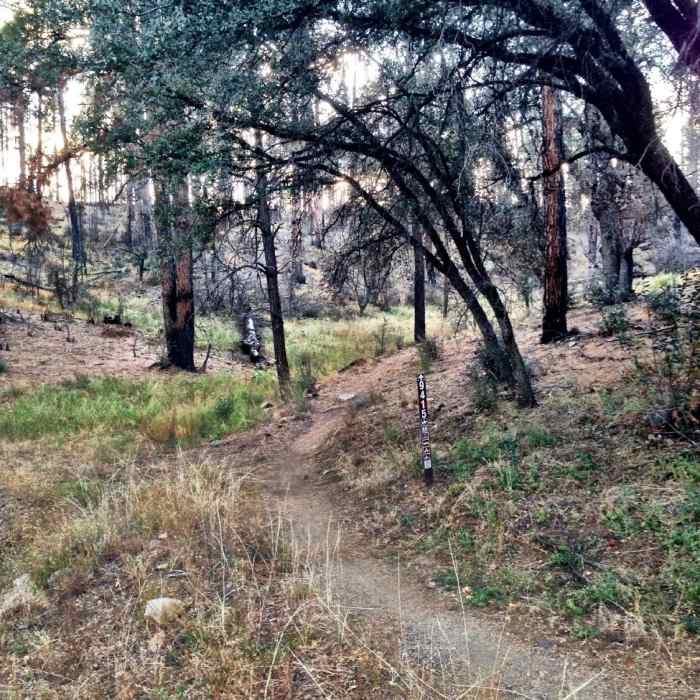 Near Schoolhouse Gulch Trail