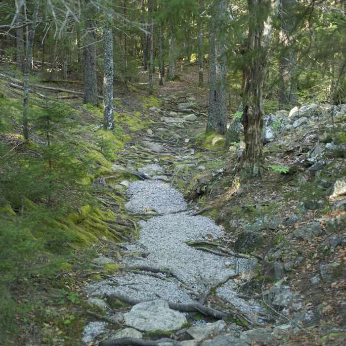 The trail moves out of the boulder field and becomes dirt, gravel, and roots as it levels off. Near Upper Mountain