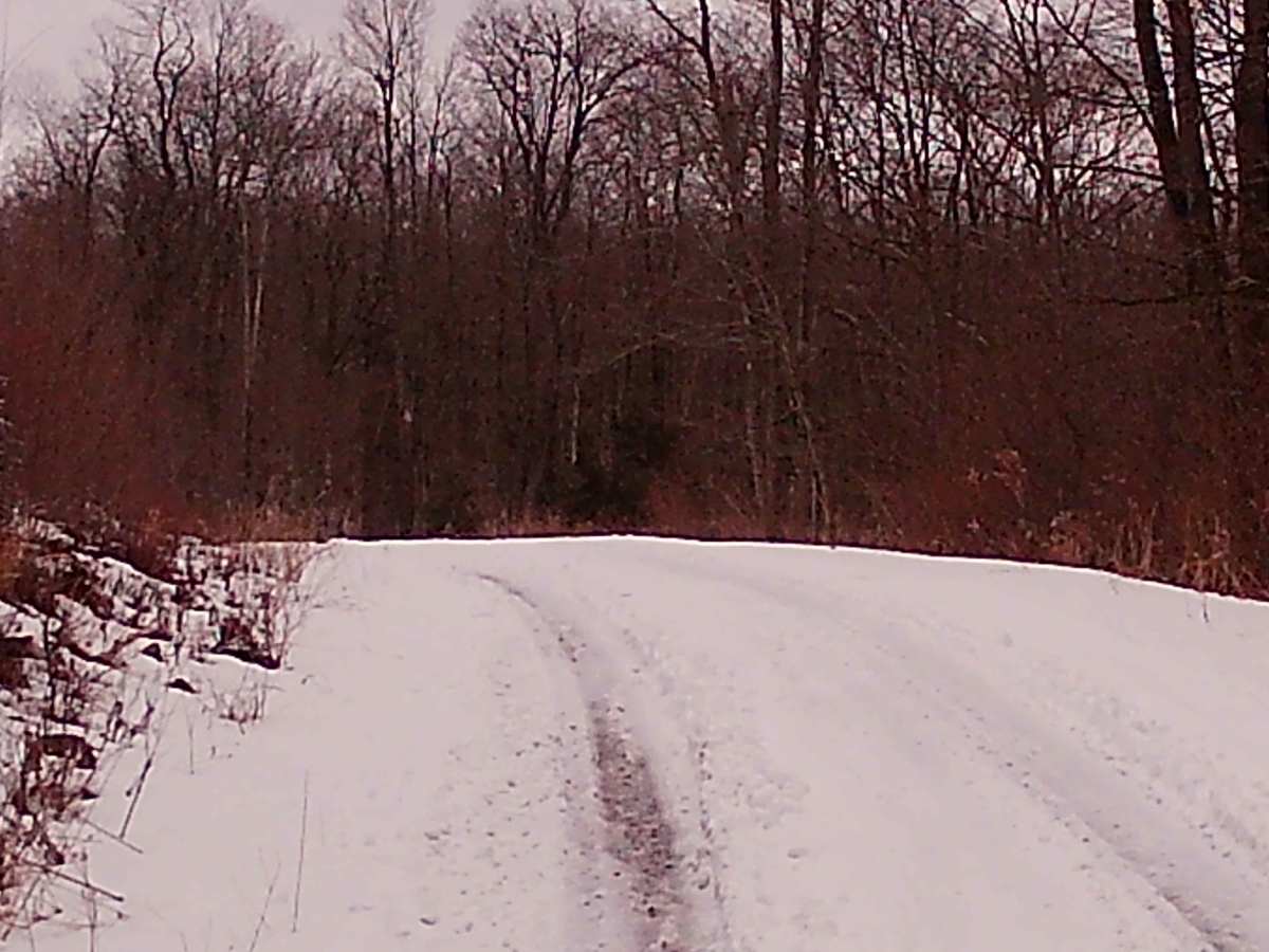 New Pond Road trail photo