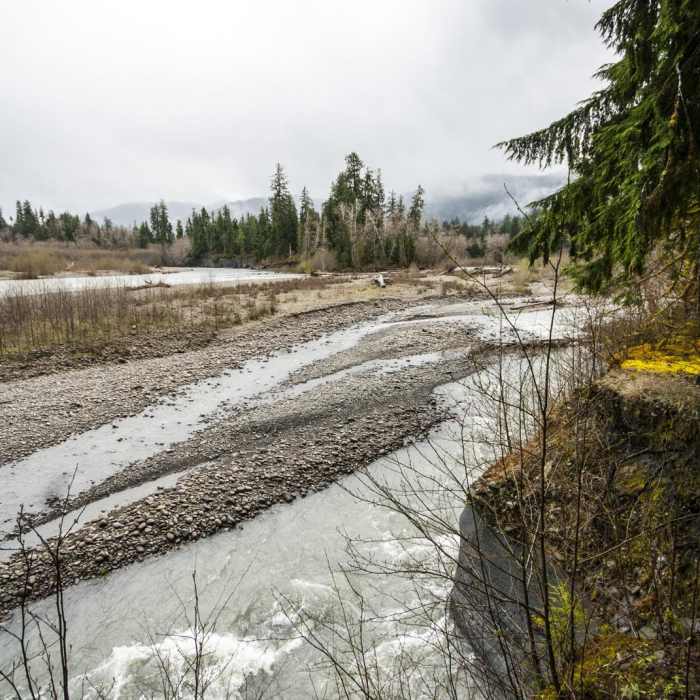 Near Sams River Loop Trail