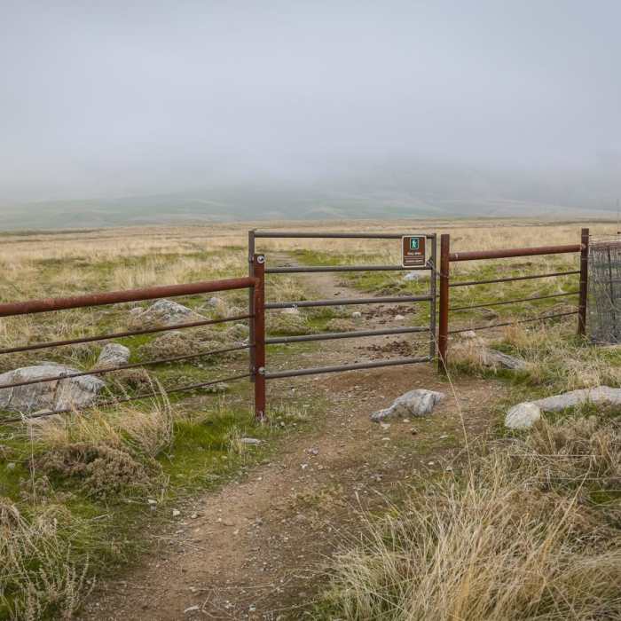 Near Wildflower Loop Trail