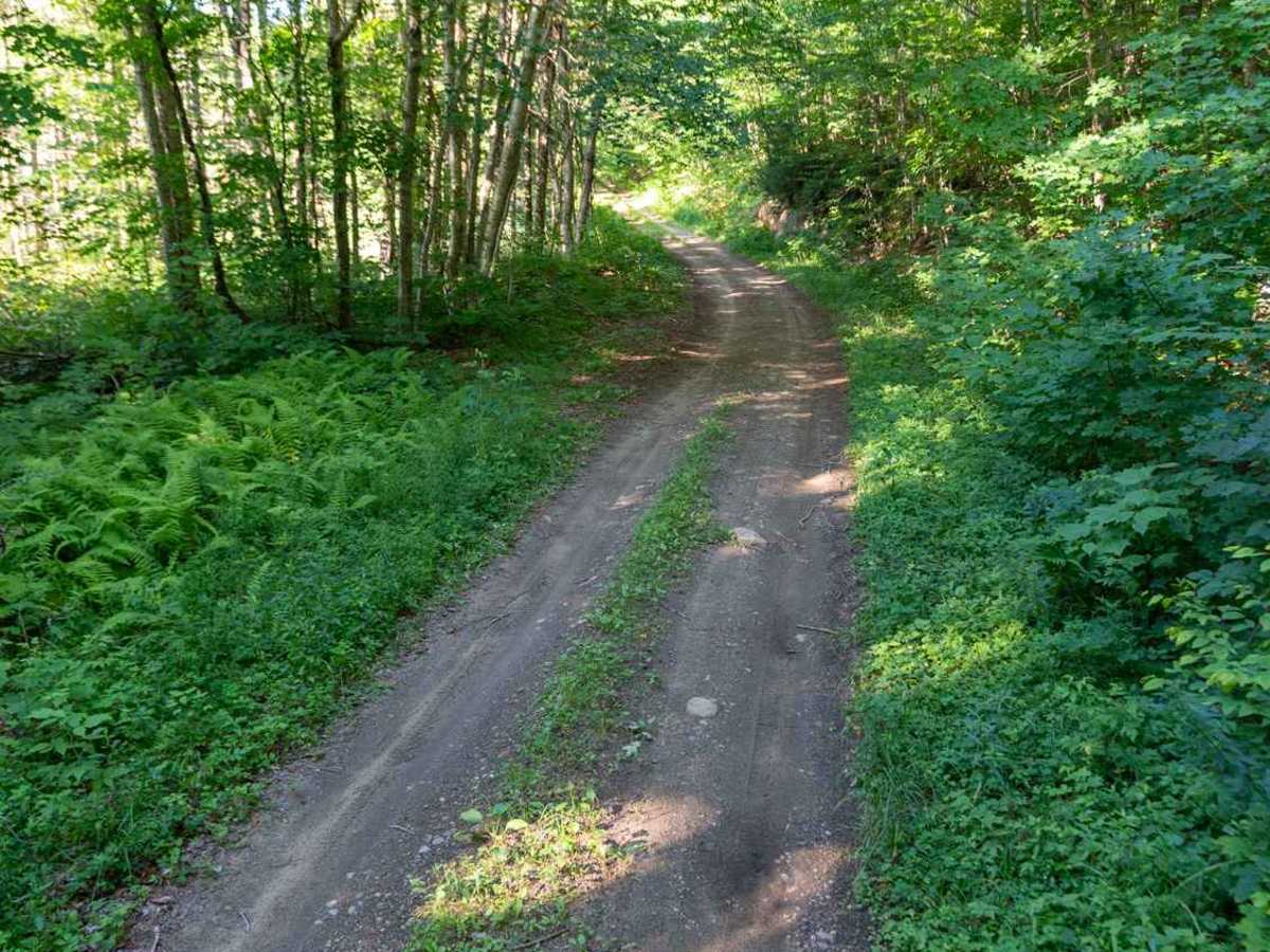 Doug Mountain Road photo 5