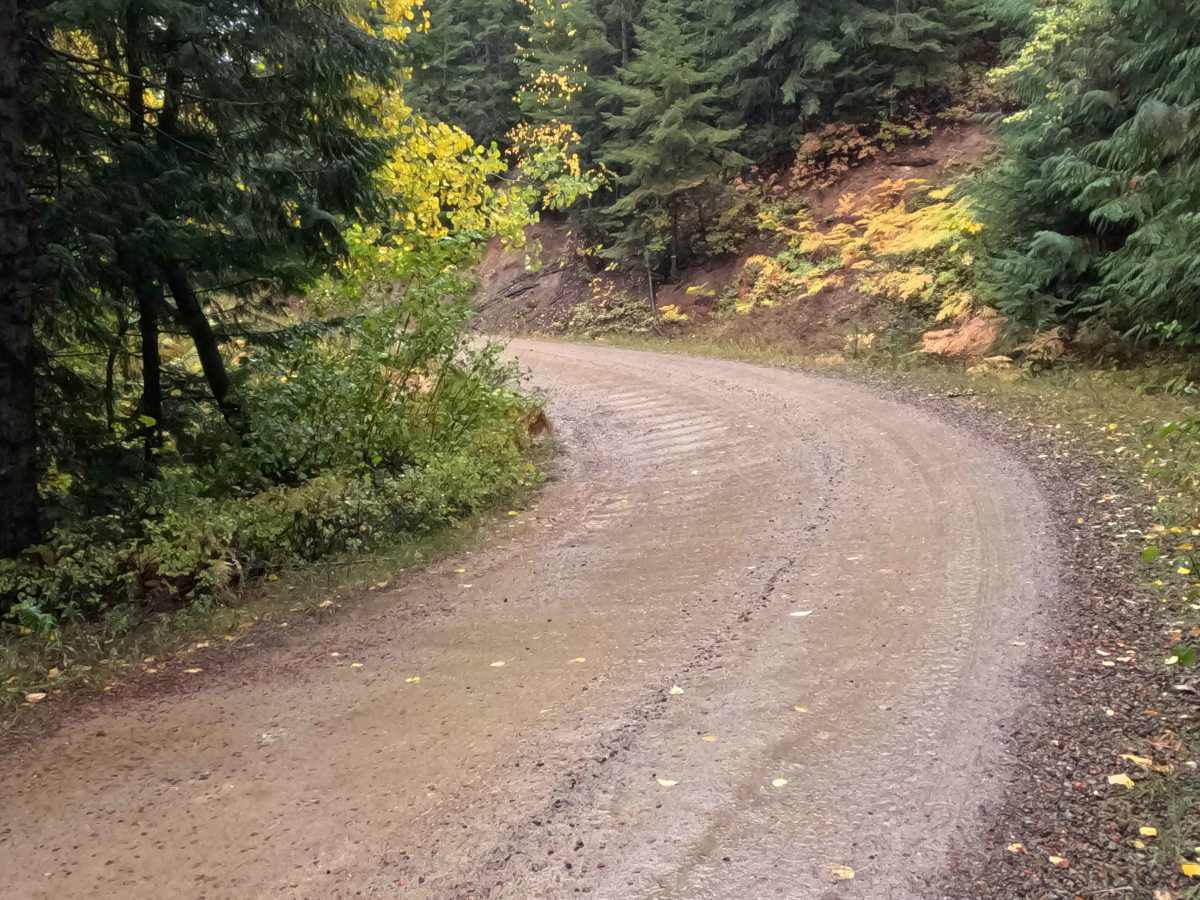 Moose Creek - FS 381  photo 4
