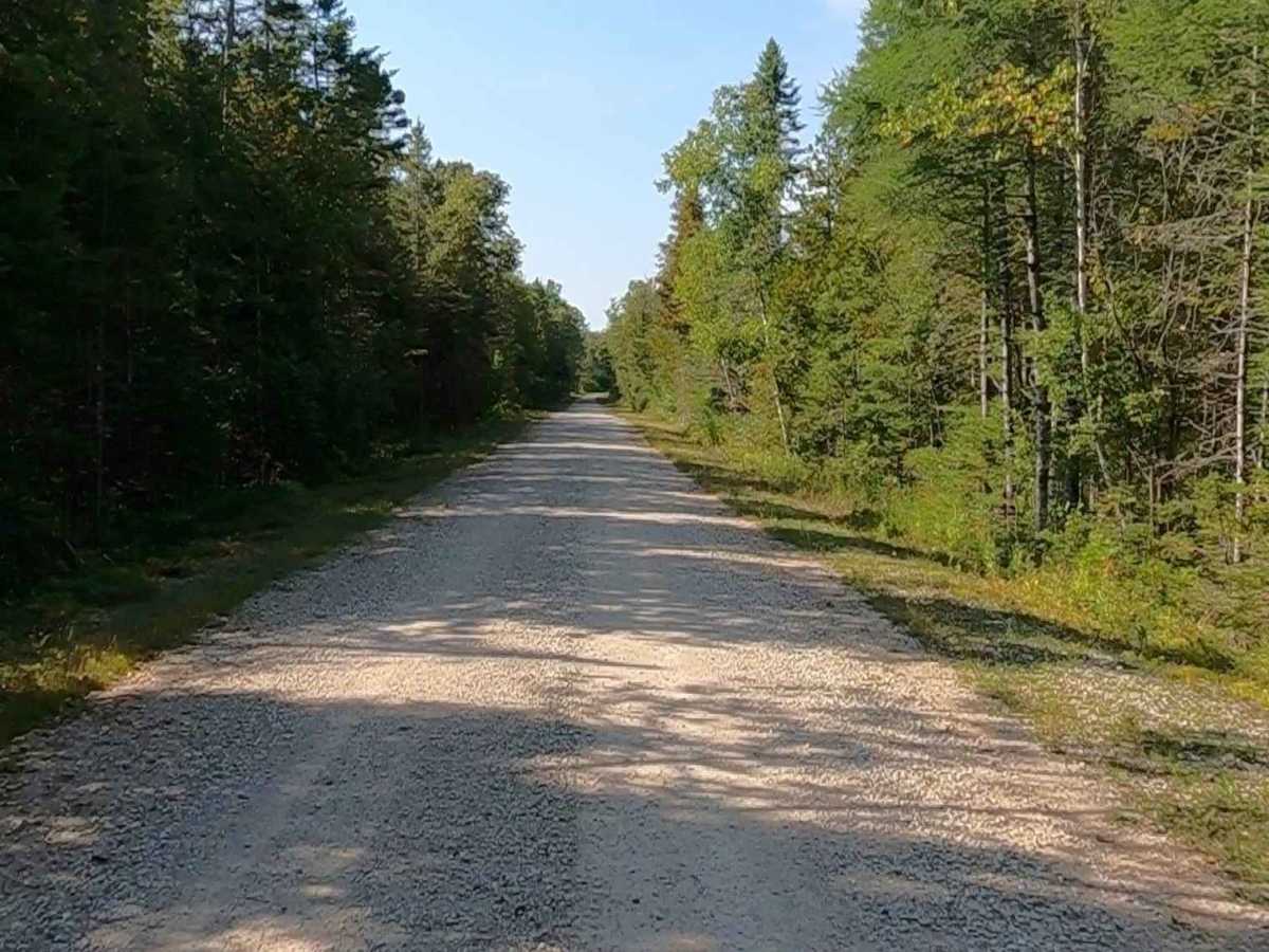 Interstate 75 Access South - FS 3900 photo 4