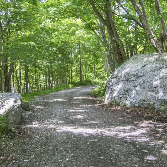 Near Mount Nimham Fire Tower Near Mount Nimham Fire Tower