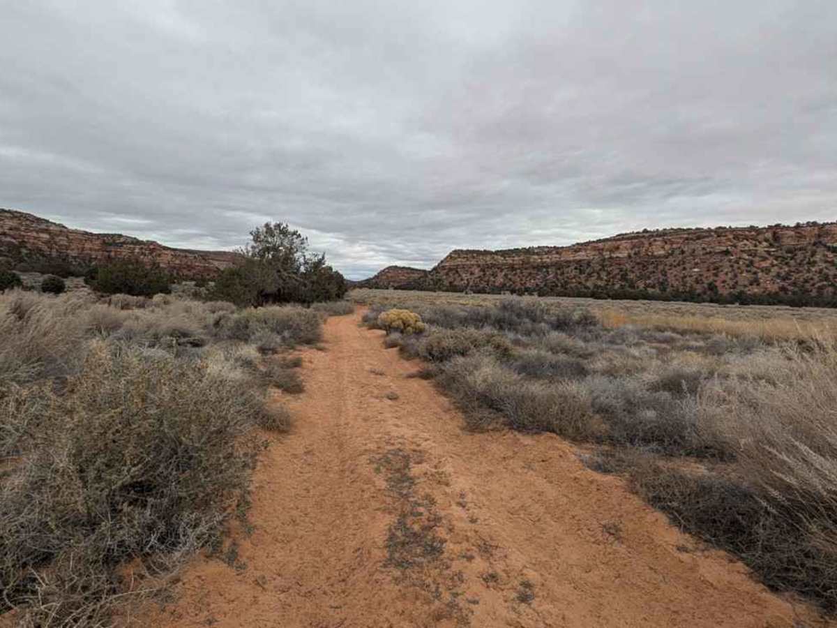 Rose Canyon - BLM M4156 photo 6