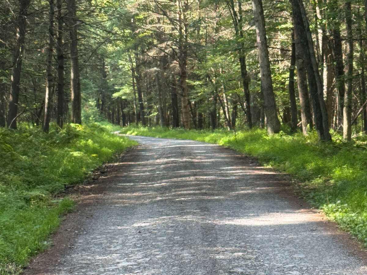 Barrons Road photo 3