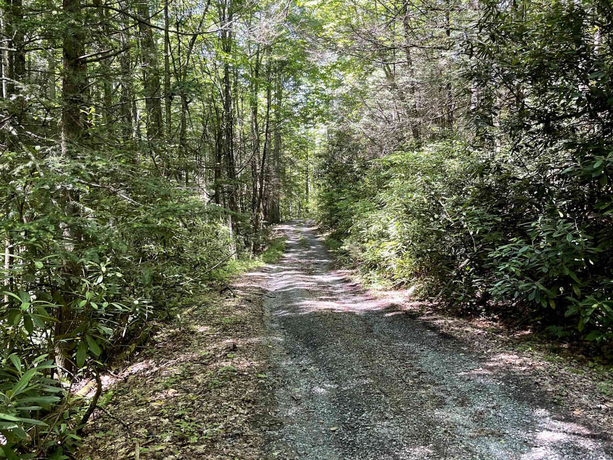 Feathercamp trail photo