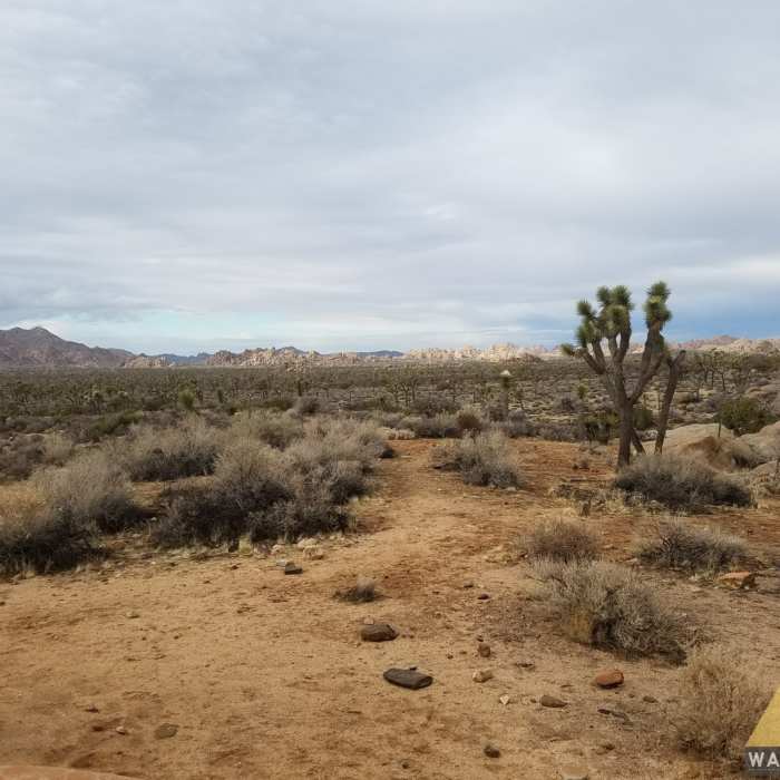 Near Ryan Ranch Loop