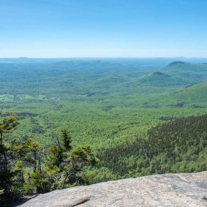 Near Mount Whiteface via Blueberry Ledge Trail Near Mount Whiteface via Blueberry Ledge Trail