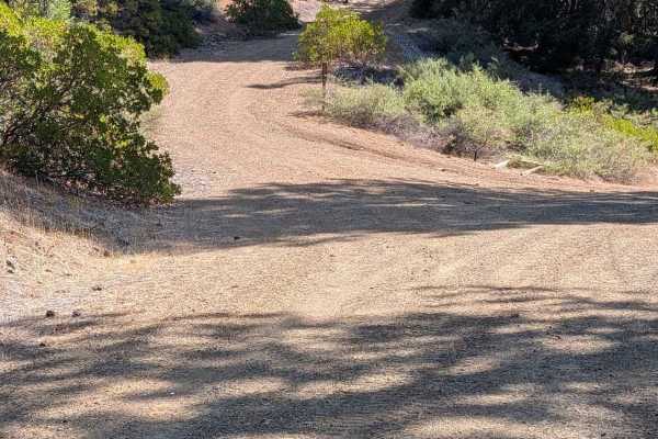 Plumb Road - FS 1N26 