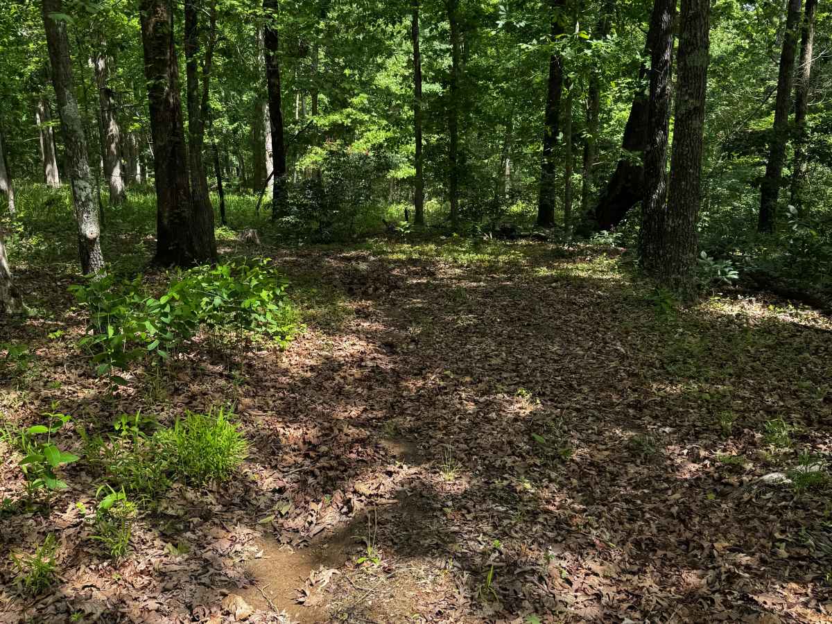 Inner Trail 1 photo 3