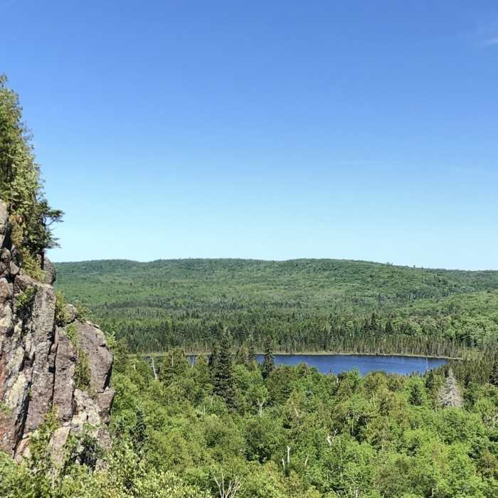 Near Oberg Mountain Trail #71080