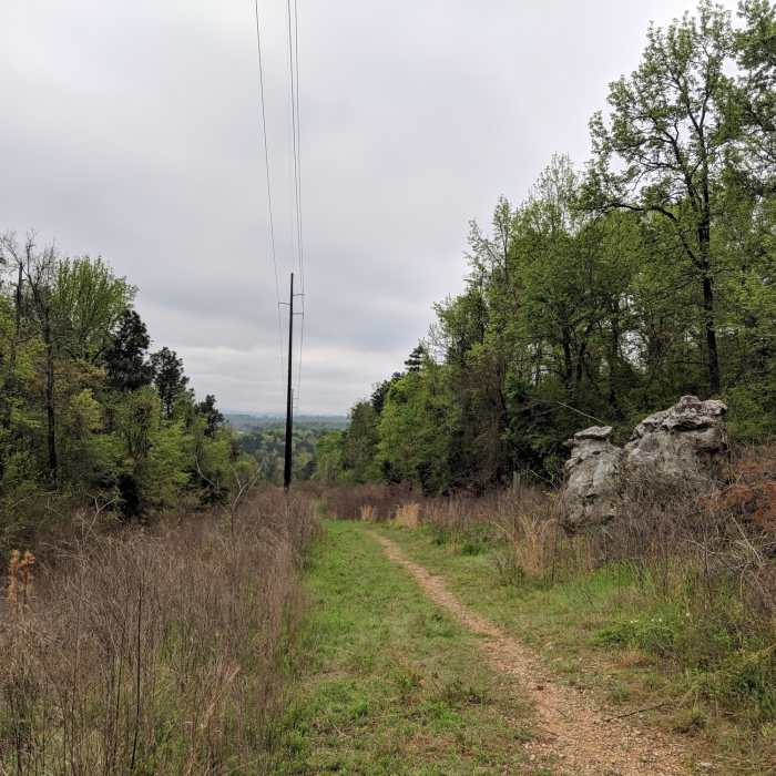 Moss Rock Power Line Trail Near Boulder Gorge Loop