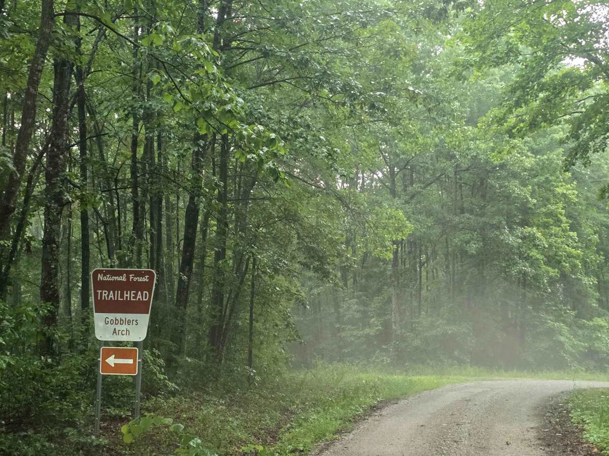 Peters Mountain Road - FS 569 photo 3
